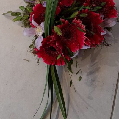 Hart gerbera