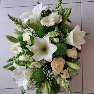 Witte lelie