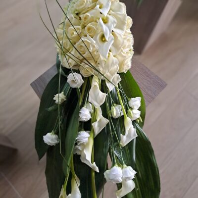 Speciaal rozen met blad